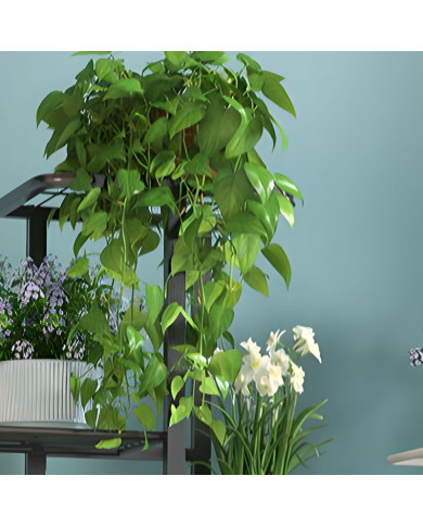 Kwietnik stojący metalowy 8-poziomowy stojak na kwiaty czarny