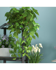 Kwietnik stojący metalowy 8-poziomowy stojak na kwiaty czarny